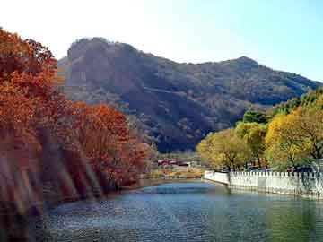 管家婆黑白马报图库，天狮空气净化器